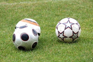 开云娱乐-基层足球发展资金紧张，基层足球发展资金紧张的原因