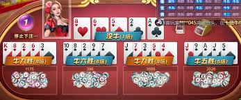 开云电竞中心｜极速对战，尽享竞技激情